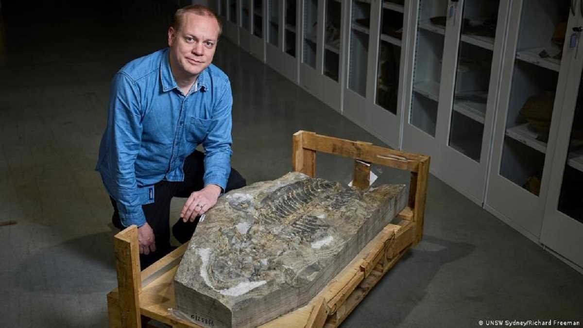 खुल गया 26 साल पहले मिले जीवाश्म का रहस्य